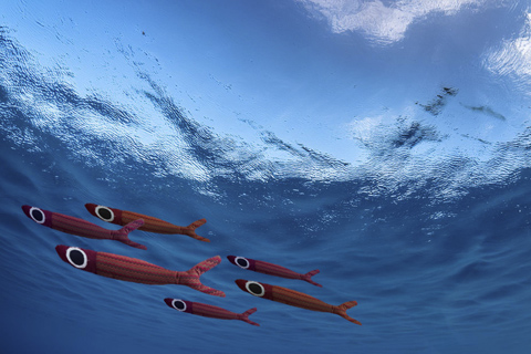 Recent freelance projects